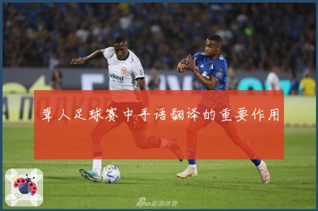 聋人足球赛中手语翻译的重要作用