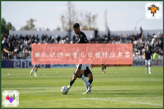 狼队欲迎回昔日旧将特拉奥雷